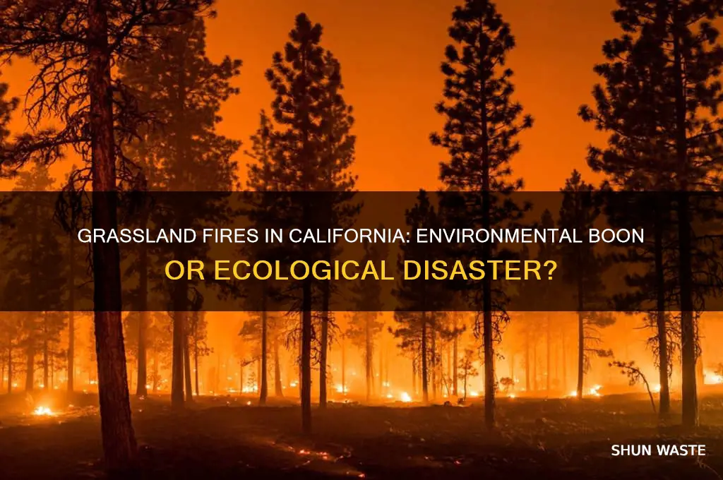 is a grassland fire good for the environment california