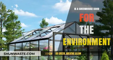 Are Greenhouses Eco-Friendly? Unveiling Their Environmental Impact and Benefits