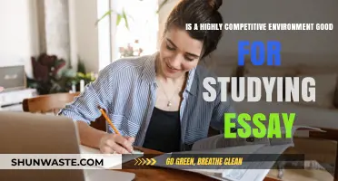 Competitive Environments: Boosting or Hindering Academic Performance?