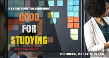 Competitive Environments: Boosting Study Habits or Hindering Learning Potential?