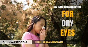 Humid Environments: A Natural Remedy for Dry Eye Relief?