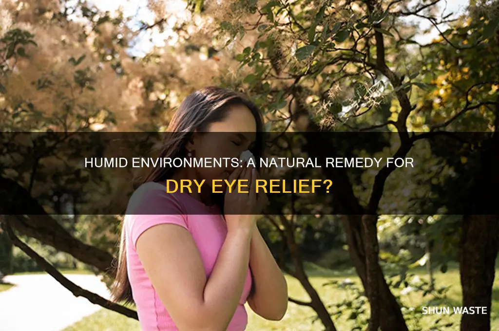 is a humid environment good for dry eyes