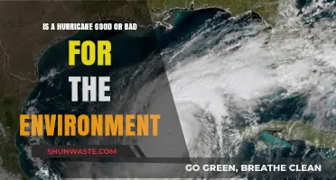 Hurricanes' Environmental Impact: Destructive Forces or Nature's Necessary Balance?