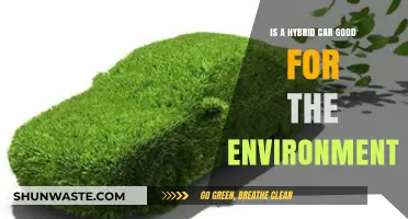Hybrid Cars: Eco-Friendly Choice or Environmental Myth?