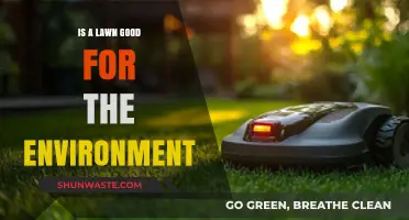 Are Lawns Eco-Friendly? Uncovering Their Environmental Impact and Benefits