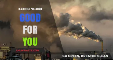 Pollution: A Little Bit Can Be Good for You?