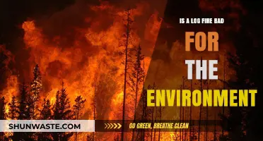 Are Log Fires Eco-Friendly? Environmental Impact and Sustainable Alternatives
