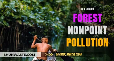 Logged Forests: Nonpoint Pollution's Bane