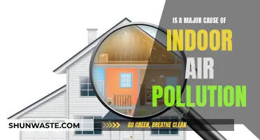 Hidden Hazards: How Everyday Items Cause Indoor Air Pollution