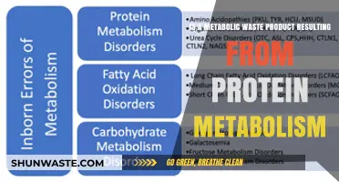 Understanding Urea: The Metabolic Waste Product of Protein Metabolism