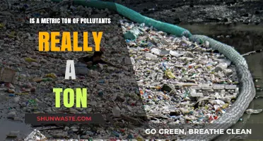 Understanding Pollutant Metrics: What's a Ton?