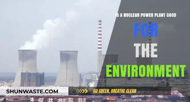 Nuclear Power Plants: Environmental Savior or Ecological Hazard?