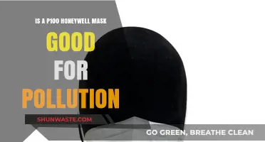 Honeywell P100 Mask: Effective Pollution Protection?