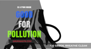 P100 Masks: Effective Pollution Protection?