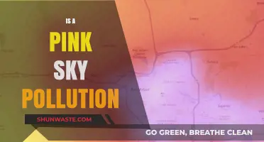 Pink Sky Pollution: Nature's Warning Sign?