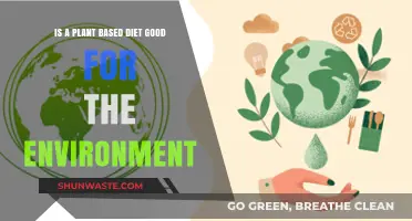 Plant-Based Diets: Eco-Friendly Choice for a Sustainable Future