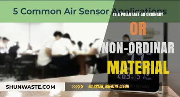 What Makes a Pollutant: Ordinary or Not?