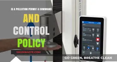 Pollution Permits: Command and Control Policy?