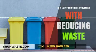 Minimizing Waste: Essential Principles for Sustainable Living and Efficiency