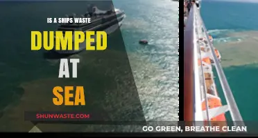 Ships' Waste Disposal: Uncovering the Truth About Ocean Dumping