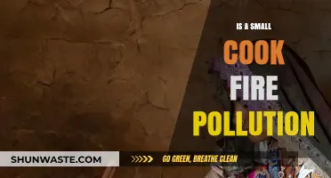 Cooking Fires: How Polluting Are They?