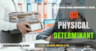Stressful Work Environments: Social or Physical Determinant of Health?