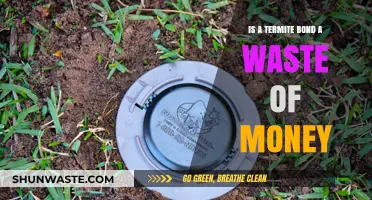 Is a Termite Bond Worth It? Debunking Myths and Costs