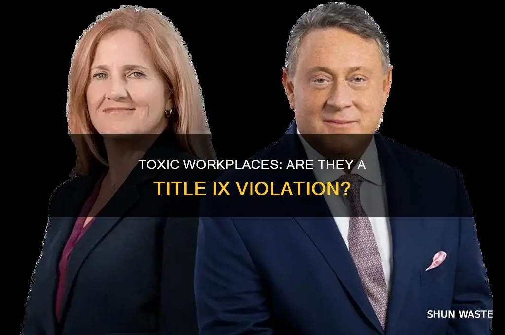 is a toxic work environment a title 9 infraction