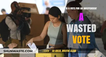 Is Voting Independent a Waste? Debunking Myths and Exploring Impact
