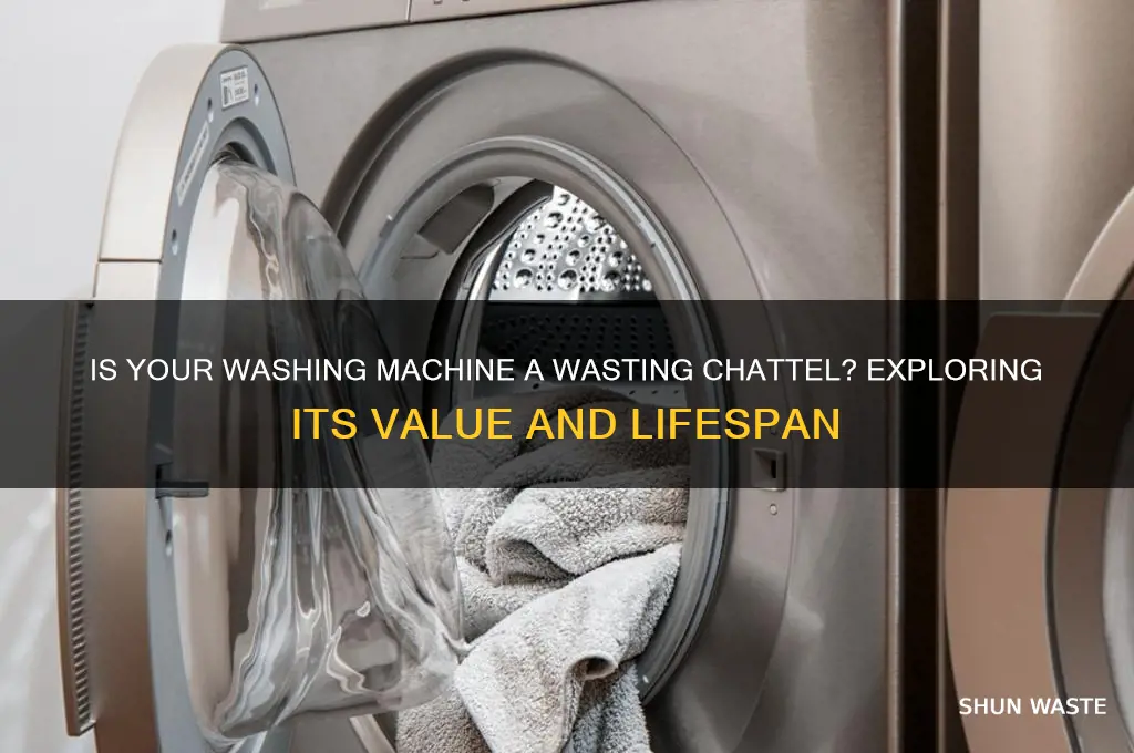 is a washing machine a wasting chattel