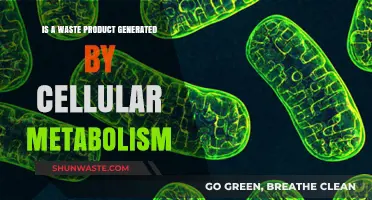 Cellular Metabolism's Hidden Byproduct: Understanding Waste Generation and Impact