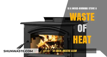 Wood-Burning Stoves: Efficient Heat Source or Energy Waste?