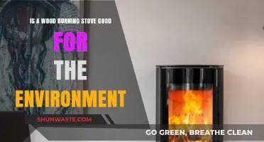 Wood Burning Stoves: Eco-Friendly or Environmental Hazard?