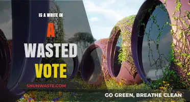 Is Writing In a Candidate a Wasted Vote? Debunking the Myth
