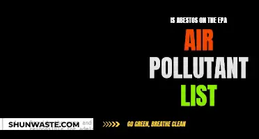 Asbestos: EPA's Air Pollutant List and You