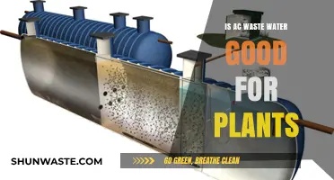 Can AC Waste Water Benefit Your Plants? A Green Gardening Guide