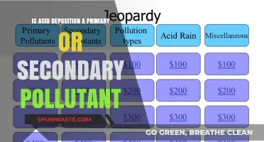 Acid Deposition: Primary or Secondary Pollutant?