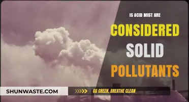 Acid Mist: Solid Pollutants or Not?