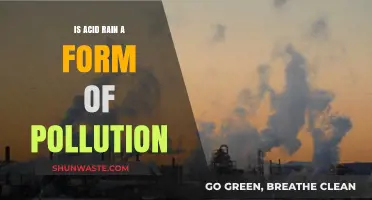 Acid Rain: Understanding Its Environmental Impact