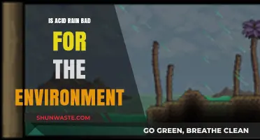 Acid Rain's Environmental Impact: Harmful Effects and Ecological Consequences