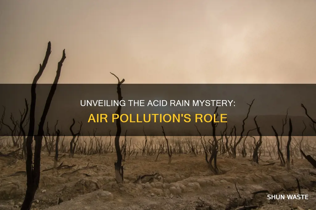 is acid rain caused by air pollution