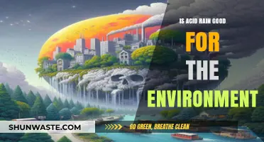 Is Acid Rain Beneficial or Harmful to Our Environment?