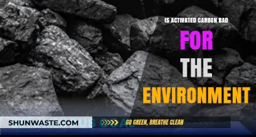 Activated Carbon's Environmental Impact: Sustainable Solution or Ecological Concern?