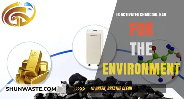 Activated Charcoal's Environmental Impact: Sustainable or Harmful Choice?