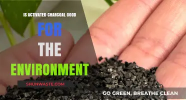 Activated Charcoal's Environmental Impact: Benefits or Hidden Costs?