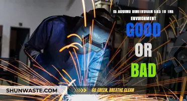 Dinitrogen Gas: Environmental Savior or Silent Ecosystem Disruptor?