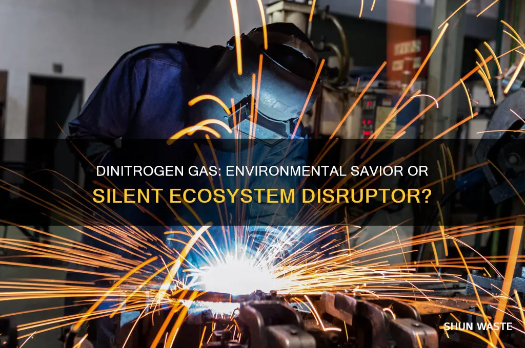 is adding dinitrogen gas to the environment good or bad