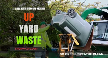Eco-Friendly Yard Waste Management: What You Need to Know