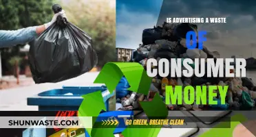 Is Advertising a Waste of Consumer Money? A Critical Analysis