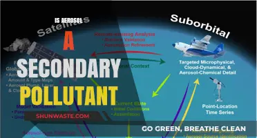 Aerosol Pollution: Primary or Secondary?